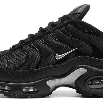 Nike Air Max Plus TN Sneakers In Black And Silver
